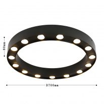 Купить с доставкой по Москве и России Накладной светильник Favourite 3007-15U