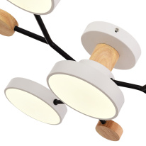 Люстра на штанге Evoluce SLE6006-502-04 в интернет магазине Гет Лайт