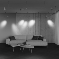 Купить с доставкой по Москве и России Светильник на шине Maytoni Technical TR144-1-5W3K-W-BS