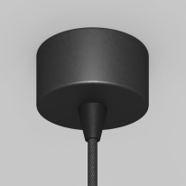 Цена на Подвесной светильник Maytoni Technical P064PL-01B-1