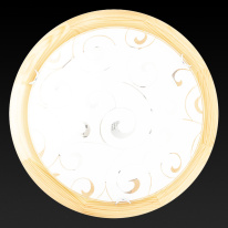 Купить Накладной светильник TOPLIGHT TL9043Y-02PN