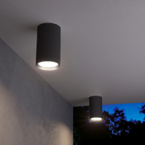 Купить Накладной уличный светильник Elektrostandard Light 2101 (35128/H) черный