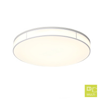 Фото Накладной светильник ST-Luce SL417.512.01