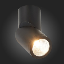 Купить с доставкой по Москве и России Влагозащищенный светильник ST-Luce ST650.432.10