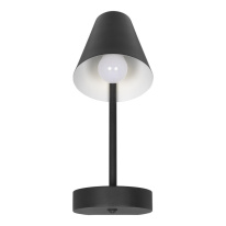Бра LOFT IT 10216/1W Black Фото Бра LOFT IT 10216/1W Black