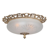 Фото Накладной светильник Arti Lampadari Venezia E 1.13.46 G