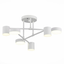 Фото Люстра на штанге Evoluce SLE201052-06