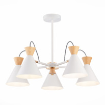 Фото Люстра на штанге Evoluce SLE125102-05