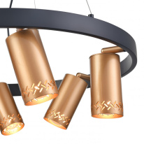 Купить Подвесная люстра Vele Luce VL5784P06