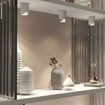 Цена на Накладной светильник Elektrostandard Cors 10W (25032/LED) белый/серебро