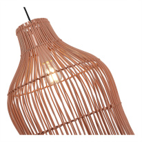 Купить Подвесной светильник ST-Luce SL1513.513.01