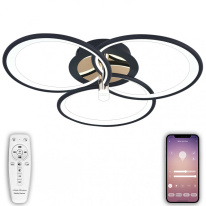 Фото Накладная люстра Natali Kovaltseva LED LAMPS 81362