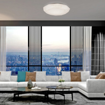 Купить с доставкой по Москве и России Накладной светильник Mantra 5974