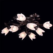 Купить с доставкой по Москве и России Накладная люстра MW-Light 323013708