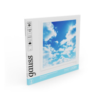 Купить с доставкой по Москве и России Офисный светильник Gauss 846511340