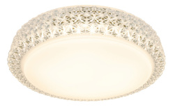 Фото Накладной светильник ARTE Lamp A1569PL-1CL