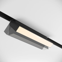 Купить с доставкой по Москве и России Светильник на шине Maytoni Technical TR075-2-20W3K-B