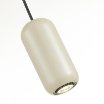 Подвесной светильник Odeon Light 5060/1G Цена на Подвесной светильник Odeon Light 5060/1G