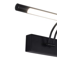 Цена на Светильник для картин Zortes ZRS.64707.12