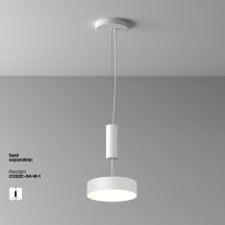 Купить Накладной светильник Maytoni Technical C032CL-24W4K-RD-W