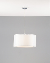 Купить Подвесной светильник Moderli V10498-1P