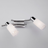 Купить Спот Eurosvet 20030/2 хром