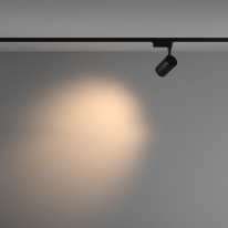 Светильник на шине Maytoni Technical TR003-1-10W3K-M-B в интернет магазине Гет Лайт