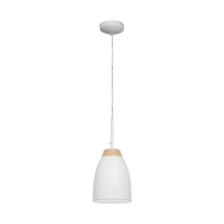 Фото Подвесной светильник LOFT IT LOFT4402A-WH