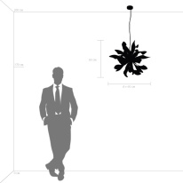 Купить с доставкой по Москве и России Подвесная люстра Lightstar 754266