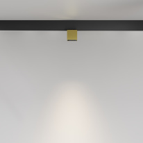 Цена на Светильник на шине Maytoni Technical TR133-2-7W4K-BS