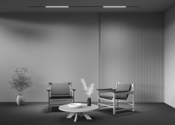 Купить Светильник на шине Maytoni Technical TR074-2-20W3K-B