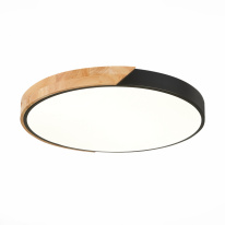 Фото Накладной светильник Evoluce SLE200942-01