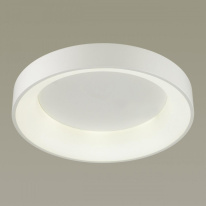 Купить Накладной светильник Odeon Light 4062/50CL
