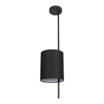 Купить Подвесной светильник LOFT IT 10253P Black