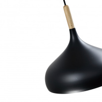 Купить Подвесной светильник Moderli V1291-1P