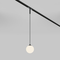 Цена на Maytoni Technical TR178-1-5WTW-B