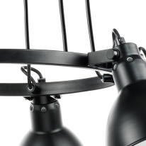 Купить с доставкой по Москве и России Подвесная люстра Lightstar 761167