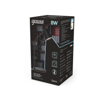 Купить с доставкой по Москве и России Настольная лампа Gauss GT6032