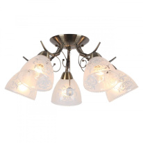 Фото Накладная люстра Omnilux OML-53807-05