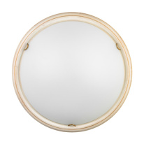 Фото Накладной светильник Sonex 7605/DL