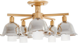 Фото Люстра на штанге MyFar MR1481-5C