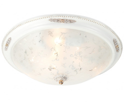 Фото Накладной светильник Lucia Tucci LUGO 142.6 R50 white