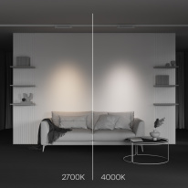 Купить с доставкой по Москве и России Maytoni Technical TR195-3-10W4K-M-W