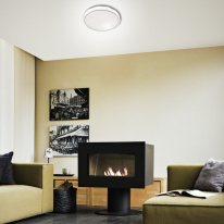 Купить с доставкой по Москве и России Накладной светильник Sonex 2045/DL