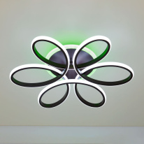 Купить Накладной светильник Citilux CL233A170E