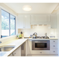 Купить Накладной светильник ARTE Lamp A1569PL-1CL