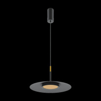 Цена на Подвесной светильник Maytoni MOD041PL-L15B3K1
