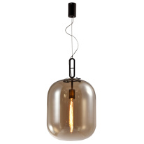 Фото Подвесной светильник Favourite 4264-1P