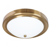 Фото Накладной светильник ARTE Lamp A4049PL-3PB