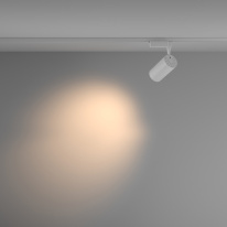 Цена на Светильник на шине Maytoni Technical TR003-1-36W3K-M-W